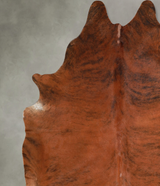 Medium Brindle XX-Large Brazilian Cowhide Rug 7'10"H x 7'2"W #A53771 by Hudson Hides