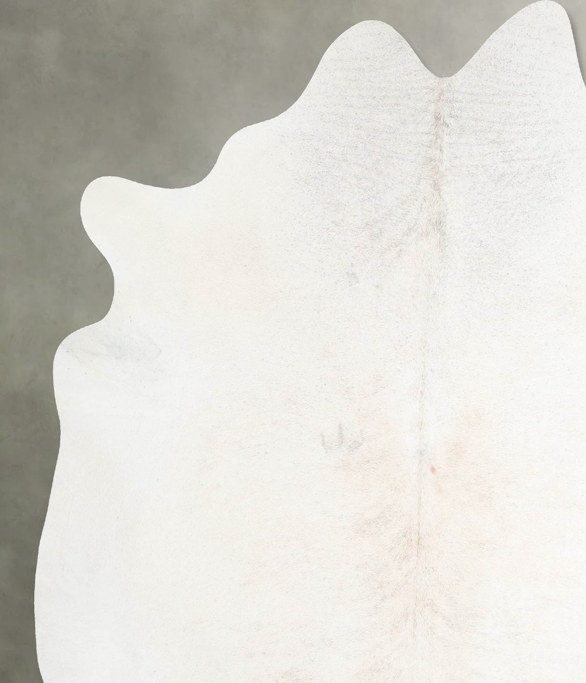Ivory with Beige XX-Large Brazilian Cowhide Rug 7'8"H x 7'0"W #A53772 by Hudson Hides