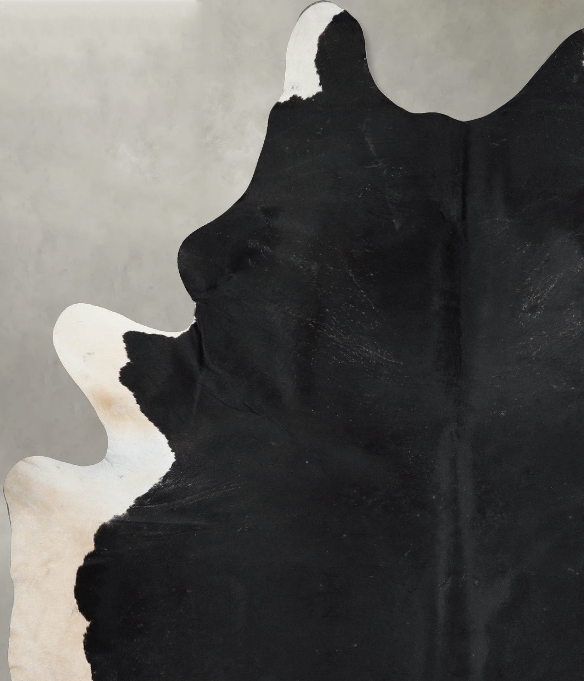 Black and White XX-Large Brazilian Cowhide Rug 8'10"H x 6'6"W #A53773 by Hudson Hides