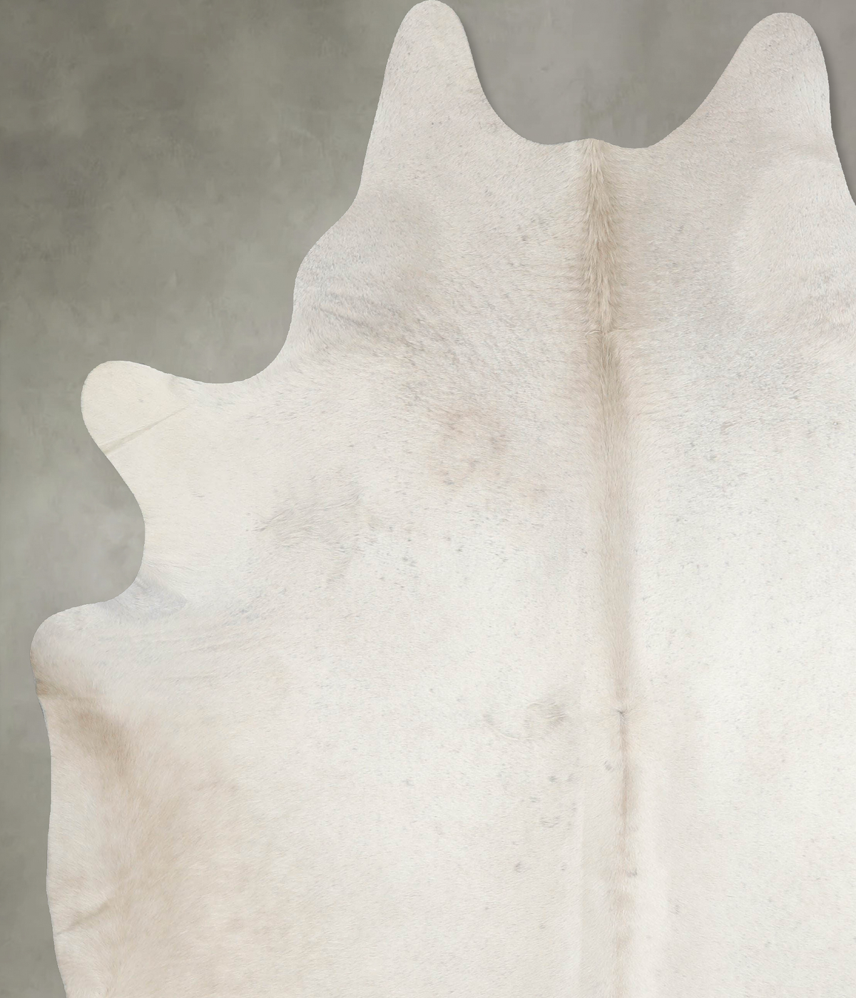 Ivory with Beige XX-Large Brazilian Cowhide Rug 8'0"H x 6'11"W #A53776 by Hudson Hides