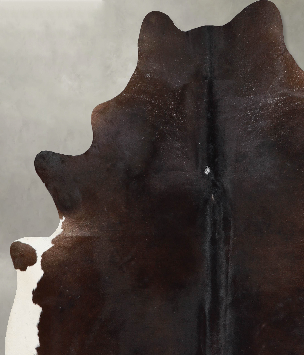 Chocolate XX-Large Brazilian Cowhide Rug 7'11"H x 6'9"W #A53777 by Hudson Hides
