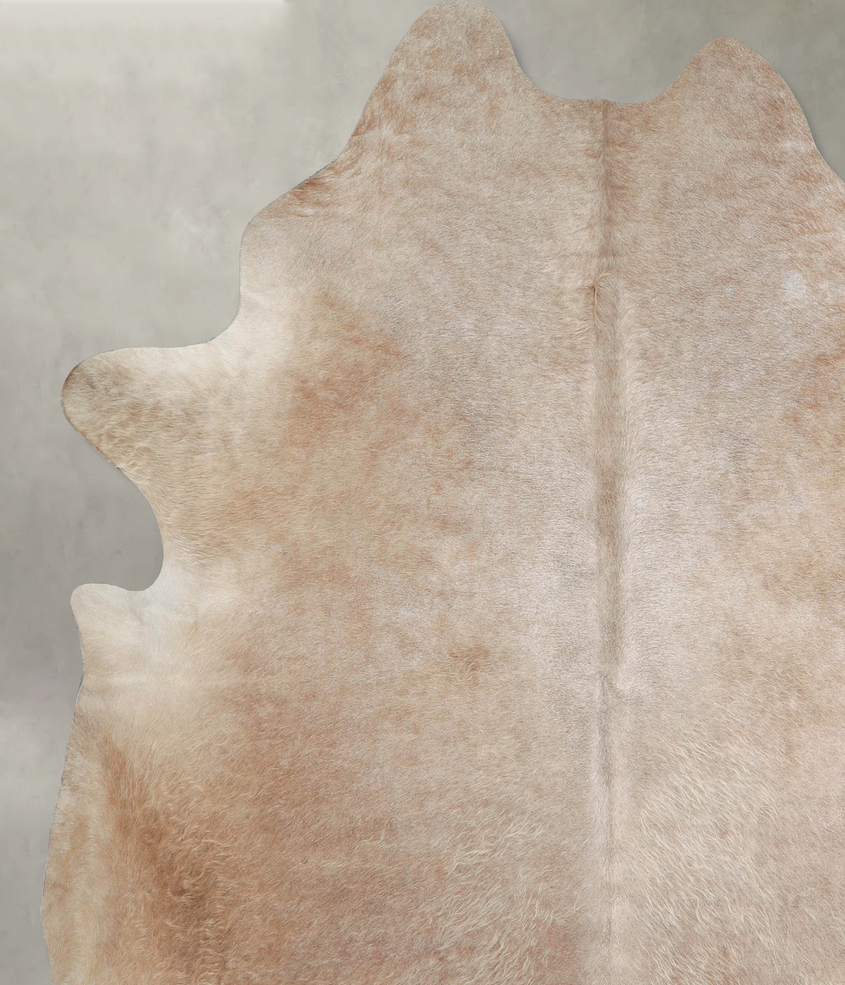 Taupe XX-Large Brazilian Cowhide Rug 8'1"H x 7'0"W #A53782 by Hudson Hides