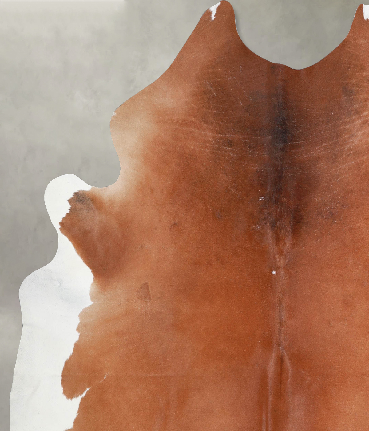 Brown and White Regular X-Large Brazilian Cowhide Rug 7'2"H x 6'7"W #A53787 by Hudson Hides