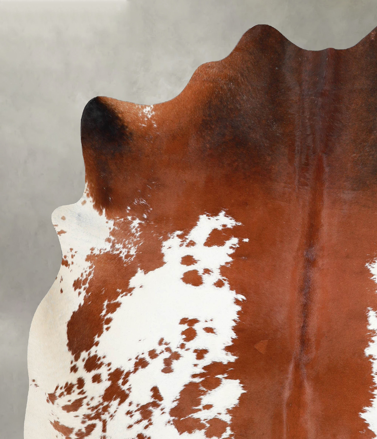 Brown and White X-Large Brazilian Cowhide Rug 6'10"H x 6'1"W #A53789 by Hudson Hides