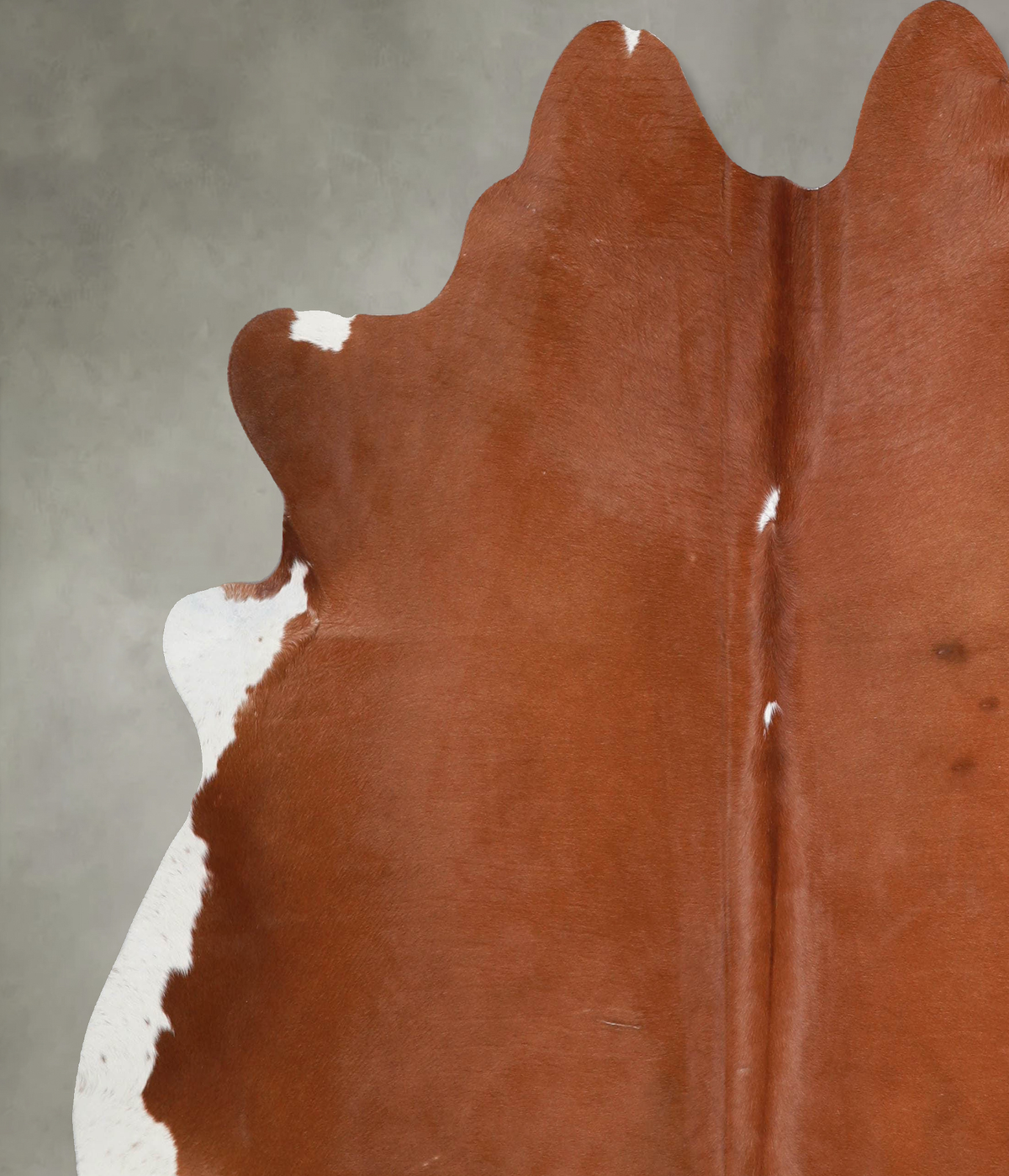 Solid Brown X-Large Brazilian Cowhide Rug 6'11"H x 6'10"W #A53790 by Hudson Hides