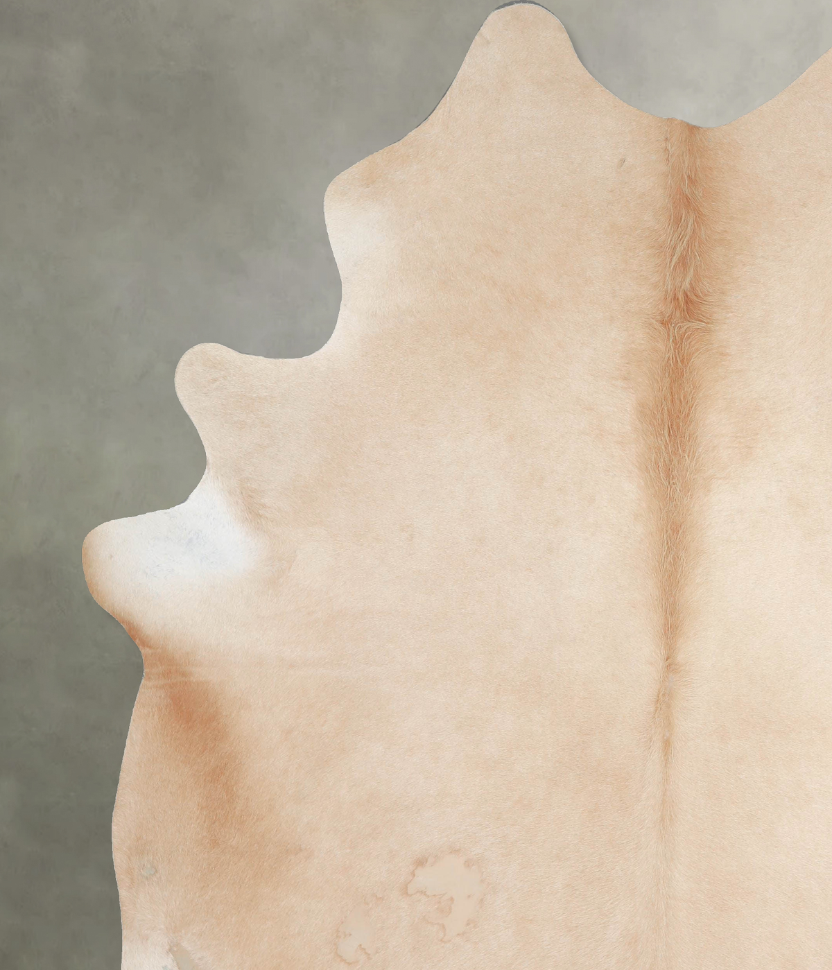 Palomino XX-Large Brazilian Cowhide Rug 7'11"H x 6'7"W #A53793 by Hudson Hides