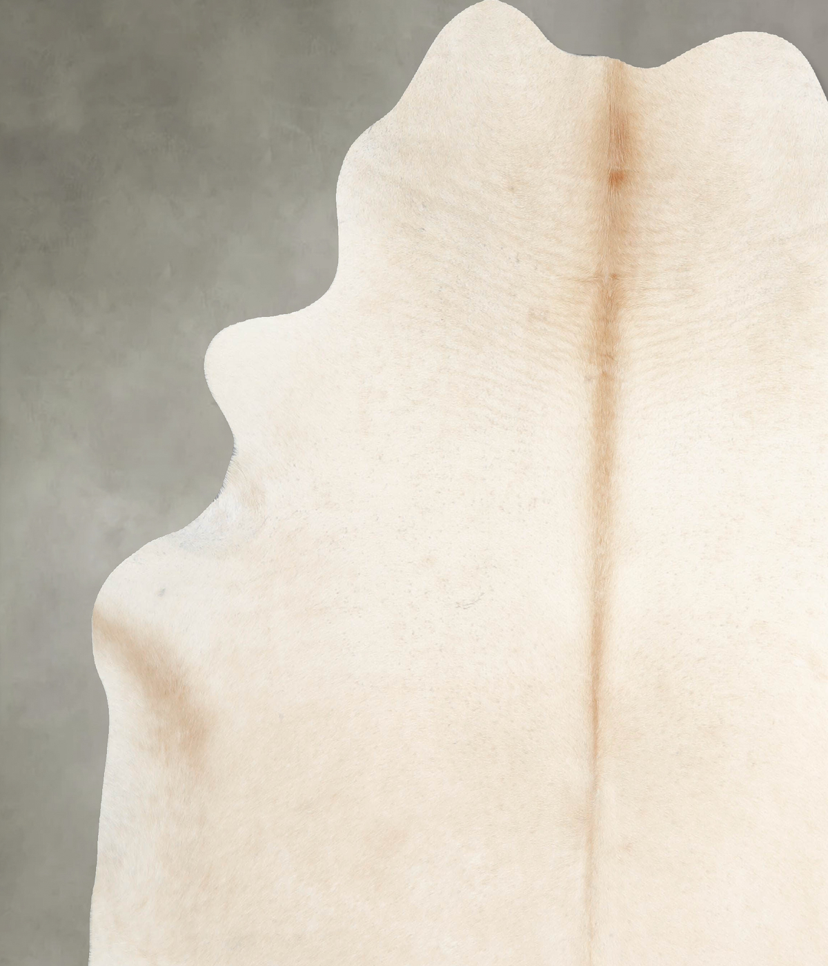 Palomino XX-Large Brazilian Cowhide Rug 7'4"H x 7'1"W #A53795 by Hudson Hides