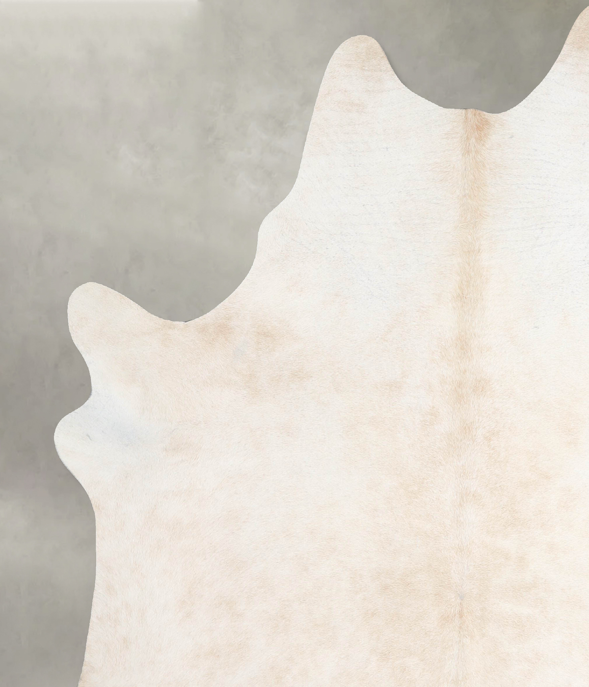 Ivory with Beige X-Large Brazilian Cowhide Rug 7'9"H x 6'3"W #A53800 by Hudson Hides