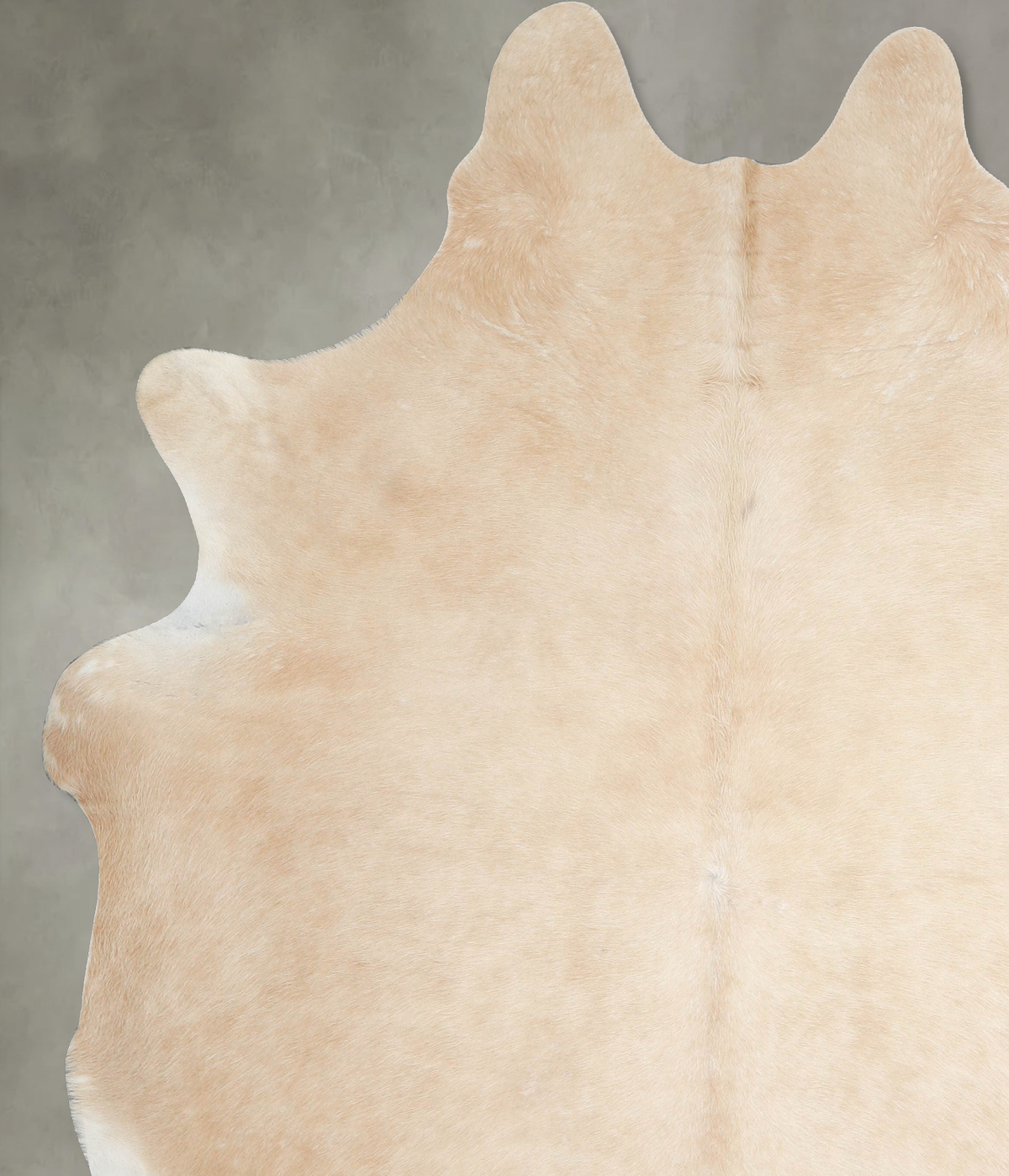 Palomino XX-Large Brazilian Cowhide Rug 8'6"H x 7'2"W #A53801 by Hudson Hides