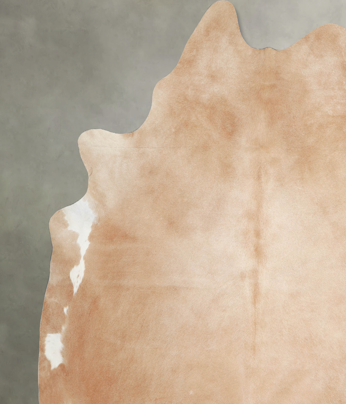 Palomino XX-Large Brazilian Cowhide Rug 8'4"H x 8'0"W #A53802 by Hudson Hides