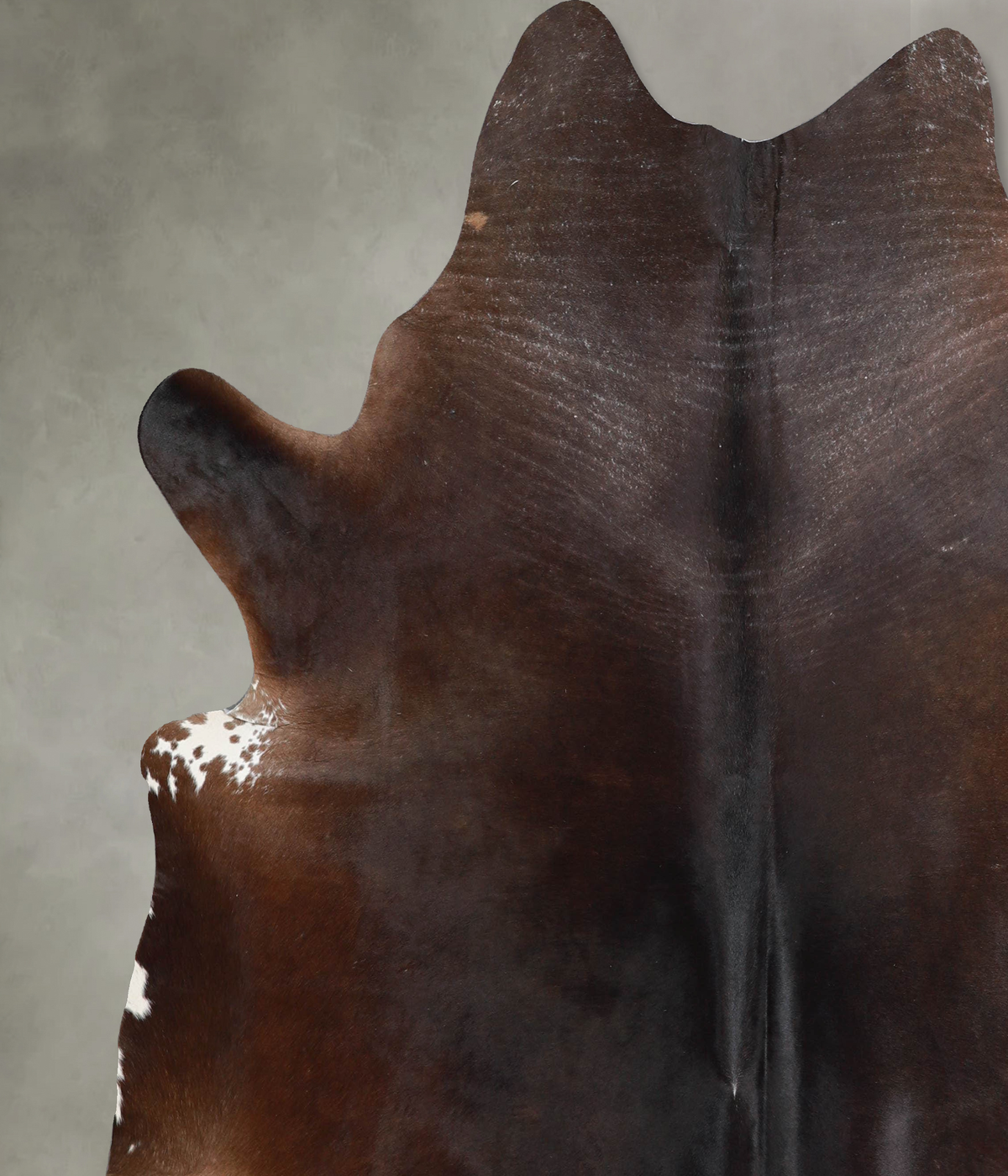Chocolate XX-Large Brazilian Cowhide Rug 7'4"H x 7'0"W #A53805 by Hudson Hides