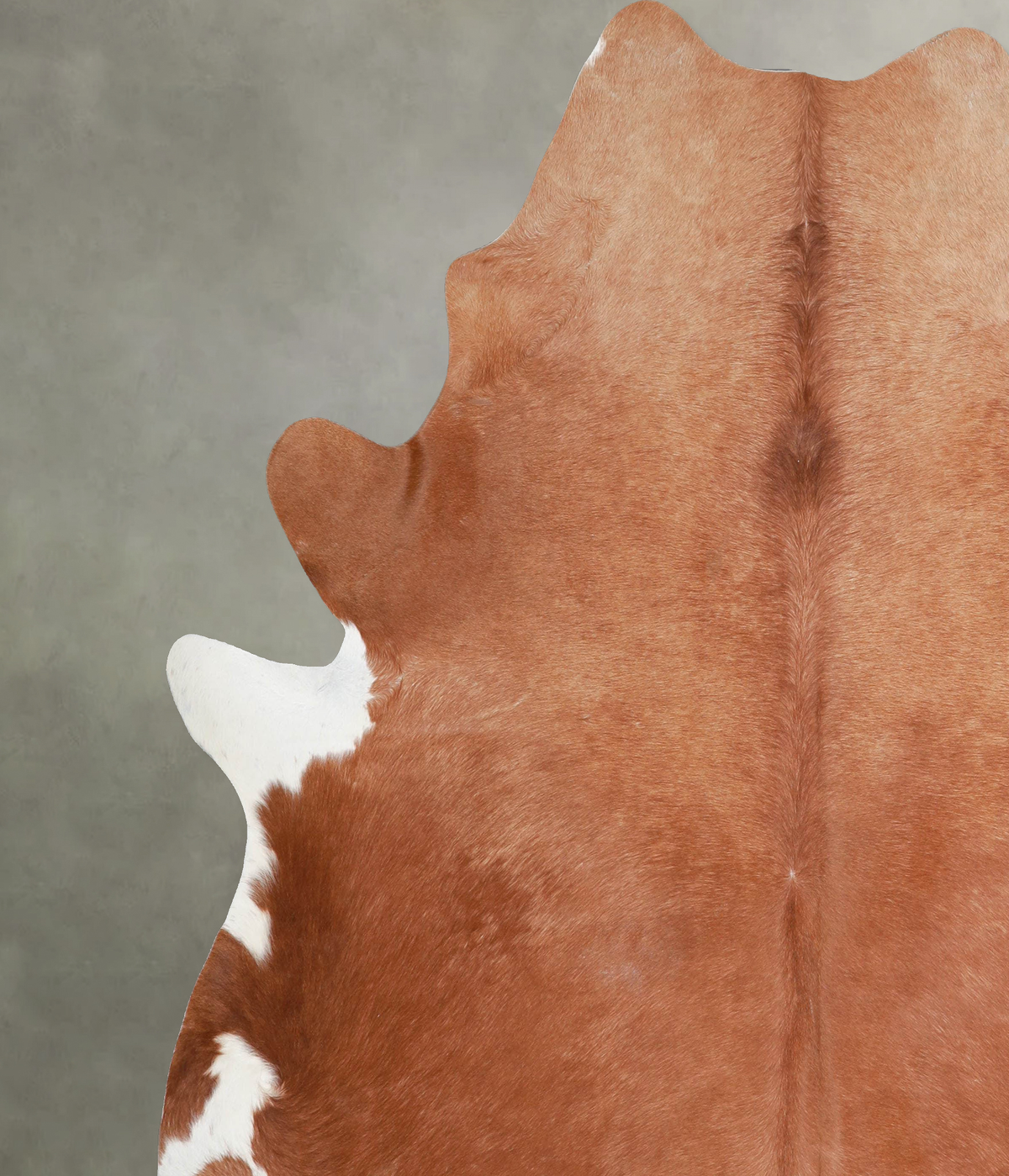 Solid Brown XX-Large Brazilian Cowhide Rug 7'8"H x 7'5"W #A53806 by Hudson Hides