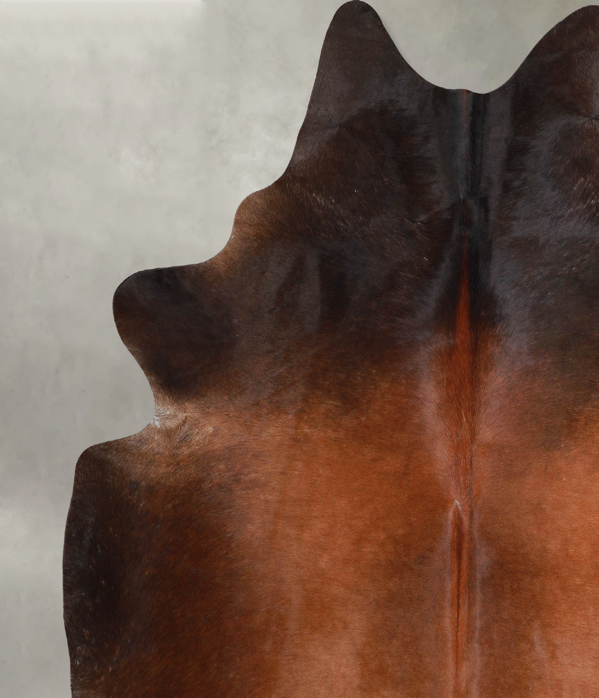 Warm Caramel XX-Large Brazilian Cowhide Rug 7'11"H x 6'8"W #A53820 by Hudson Hides