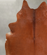 Solid Brown XX-Large Brazilian Cowhide Rug 8'3"H x 6'11"W #A53827 by Hudson Hides