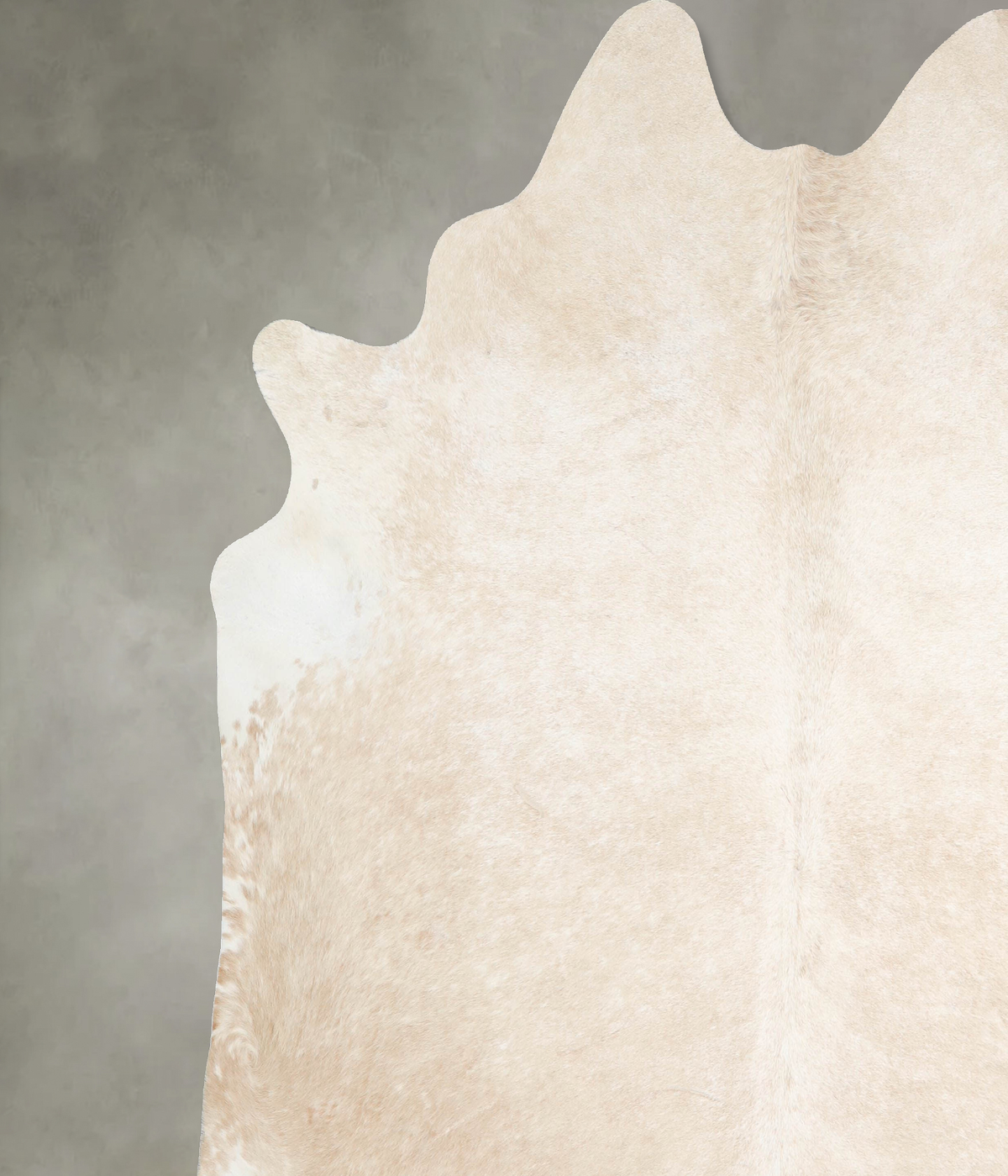 Palomino XX-Large Brazilian Cowhide Rug 7'8"H x 7'7"W #A53841 by Hudson Hides