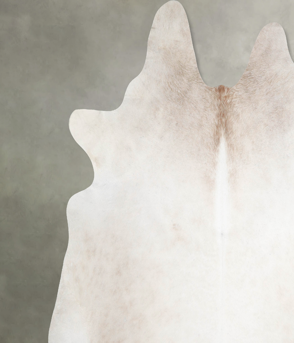 Ivory with Beige XX-Large Brazilian Cowhide Rug 8'6"H x 8'1"W #A53842 by Hudson Hides