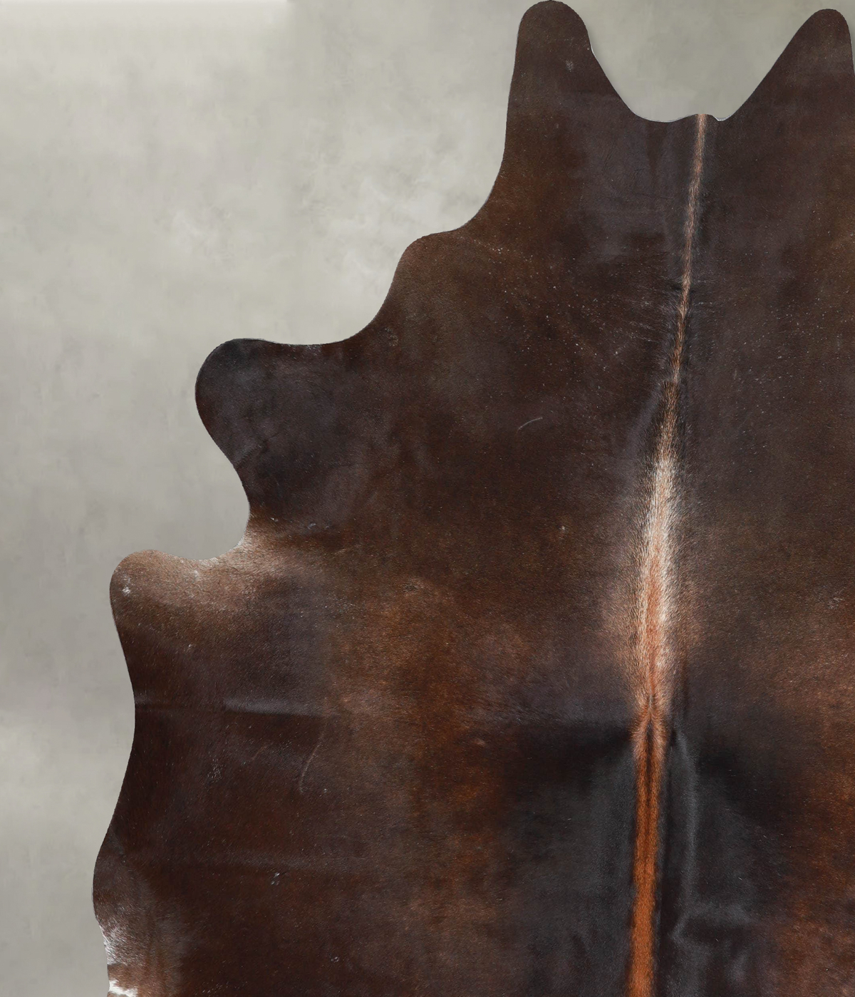 Chocolate XX-Large Brazilian Cowhide Rug 7'8"H x 6'7"W #A53843 by Hudson Hides