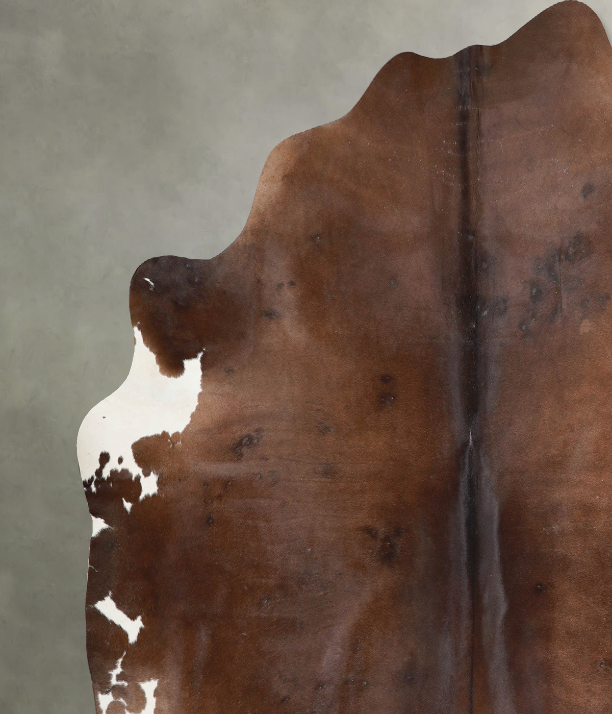 Chocolate and White XX-Large Brazilian Cowhide Rug 7'3"H x 7'5"W #A53847 by Hudson Hides