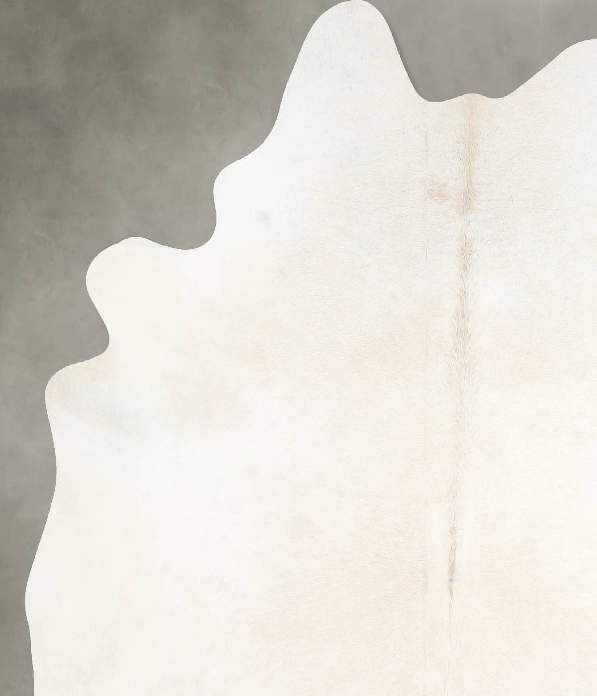Ivory with Beige X-Large Brazilian Cowhide Rug 7'4"H x 6'1"W #A53848 by Hudson Hides