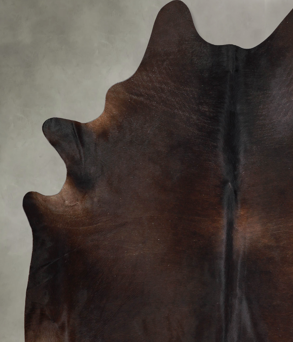 Chocolate XX-Large Brazilian Cowhide Rug 8'5"H x 7'7"W #A53849 by Hudson Hides