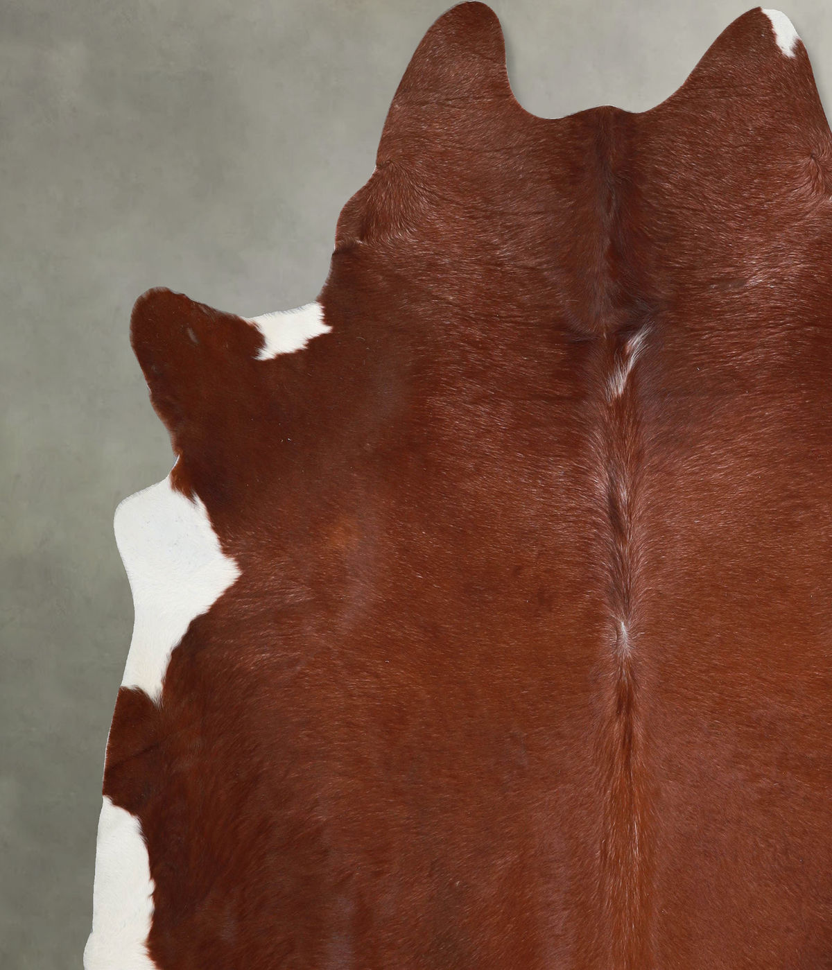 Brown and White Regular XX-Large Brazilian Cowhide Rug 7'11"H x 7'7"W #A53850 by Hudson Hides