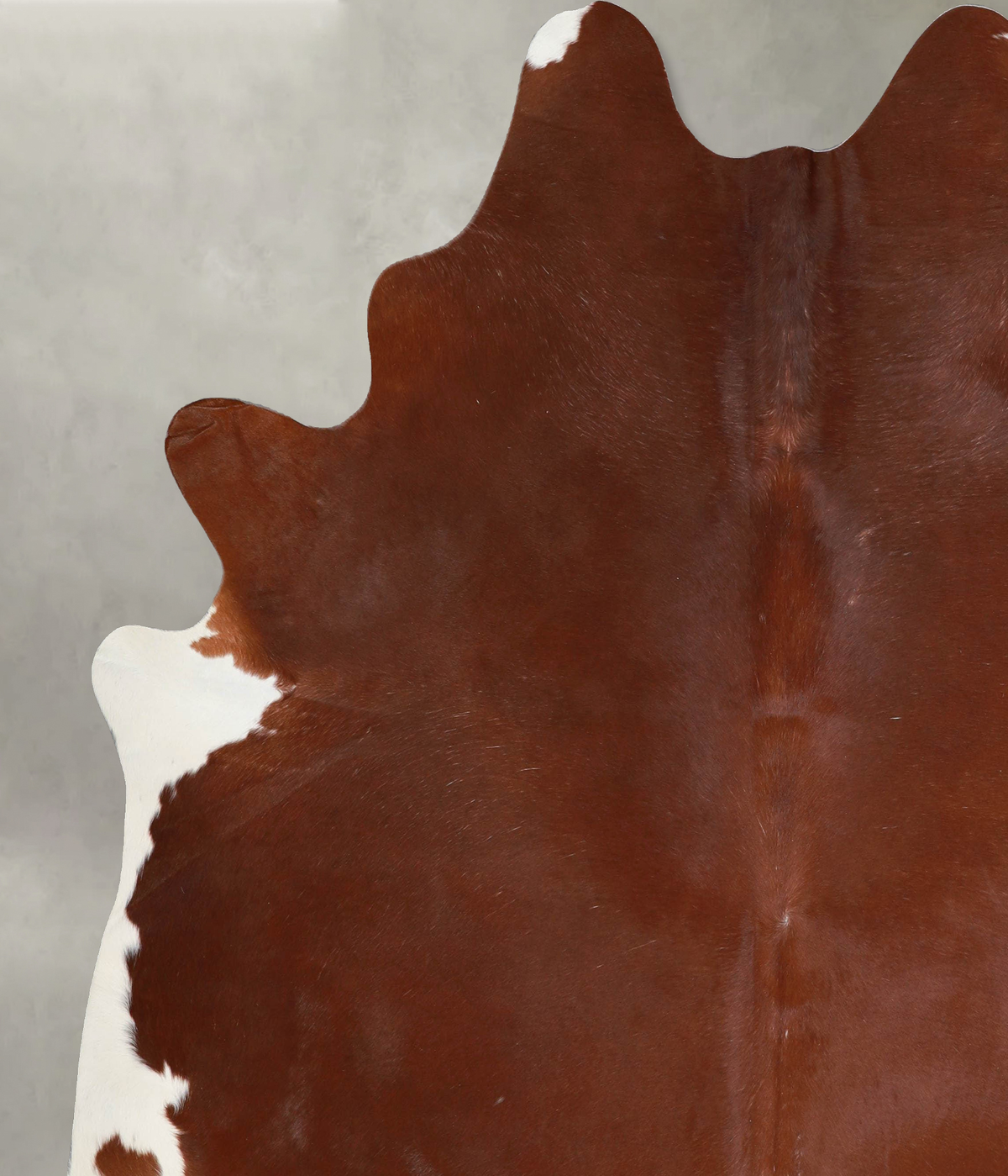 Solid Brown XX-Large Brazilian Cowhide Rug 8'0"H x 7'1"W #A53851 by Hudson Hides