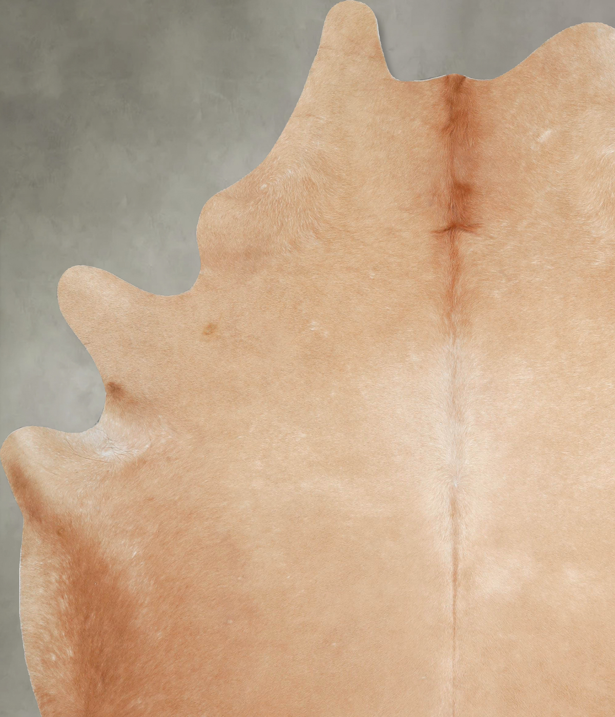 Solid Brown X-Large Brazilian Cowhide Rug 7'8"H x 6'2"W #A53853 by Hudson Hides