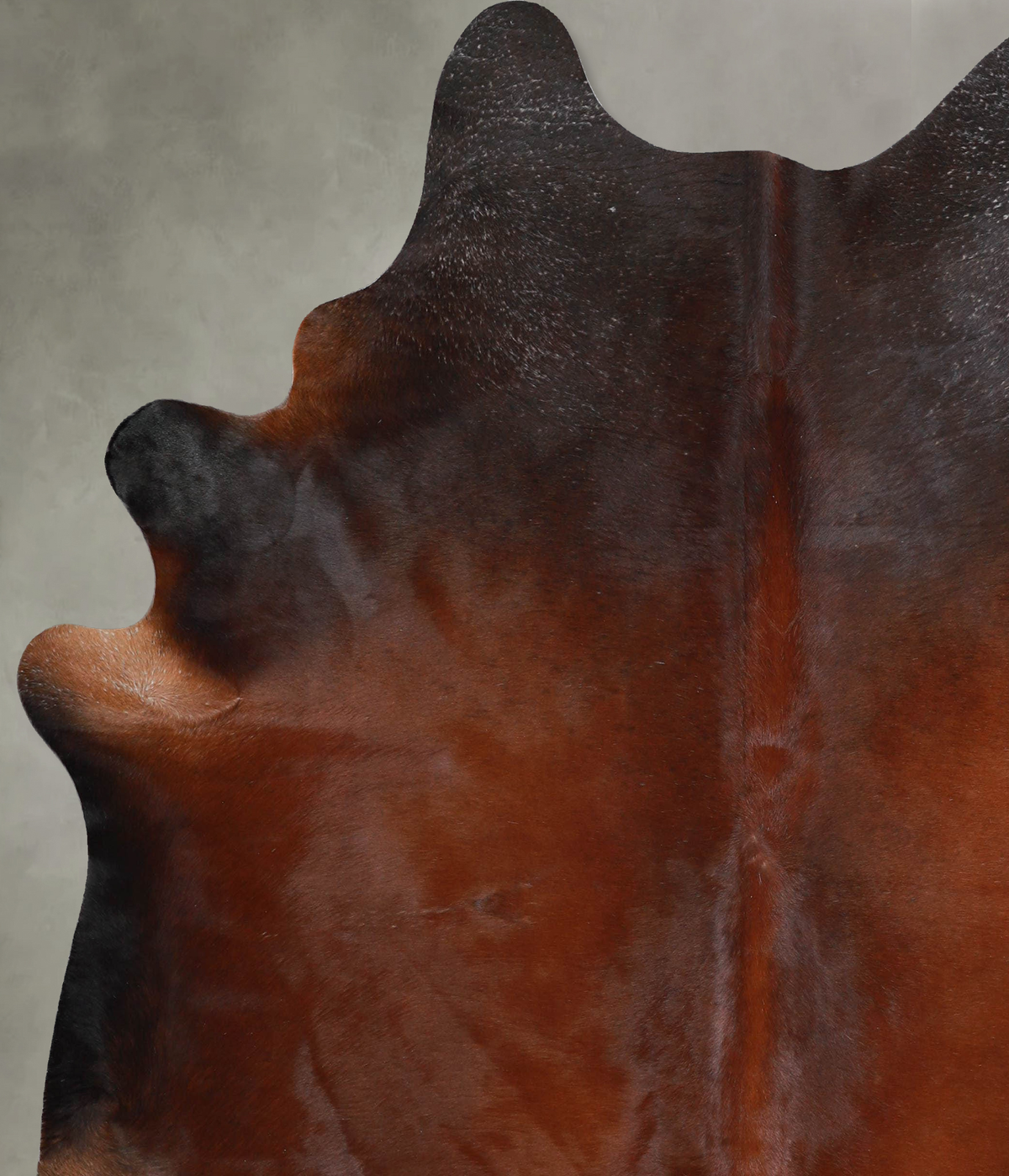 Warm Caramel X-Large Brazilian Cowhide Rug 7'3"H x 6'6"W #A53860 by Hudson Hides