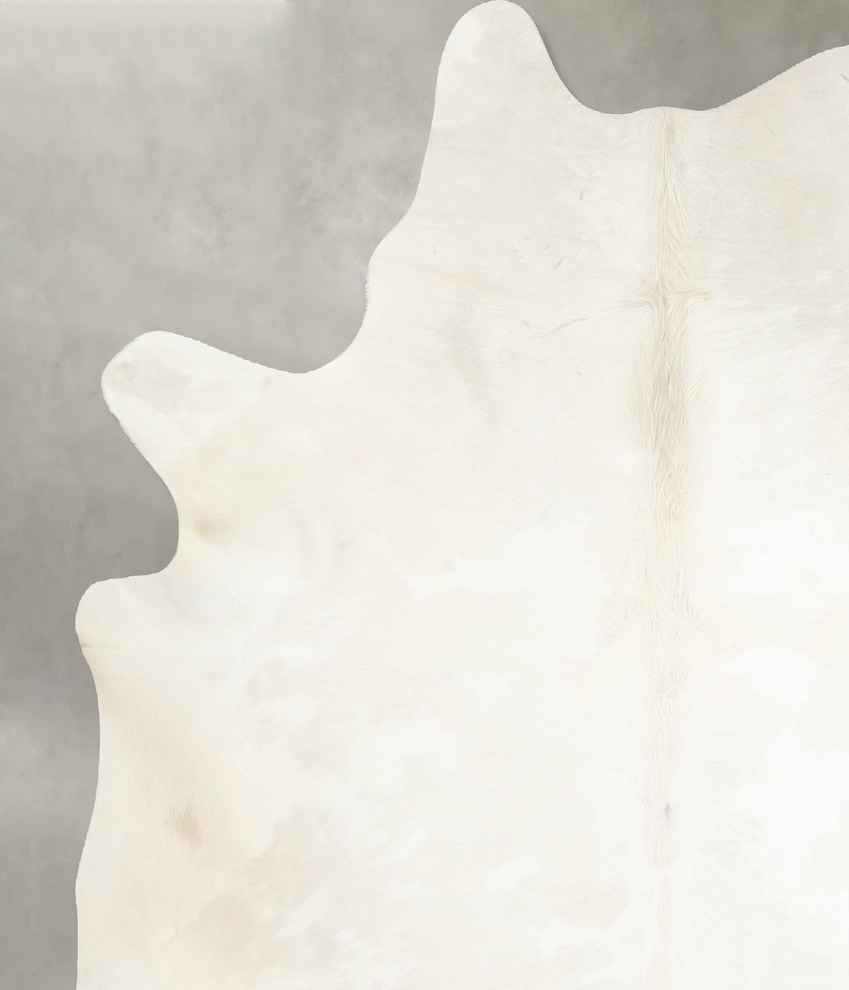 Ivory with Beige X-Large Brazilian Cowhide Rug 7'3"H x 6'2"W #A53864 by Hudson Hides