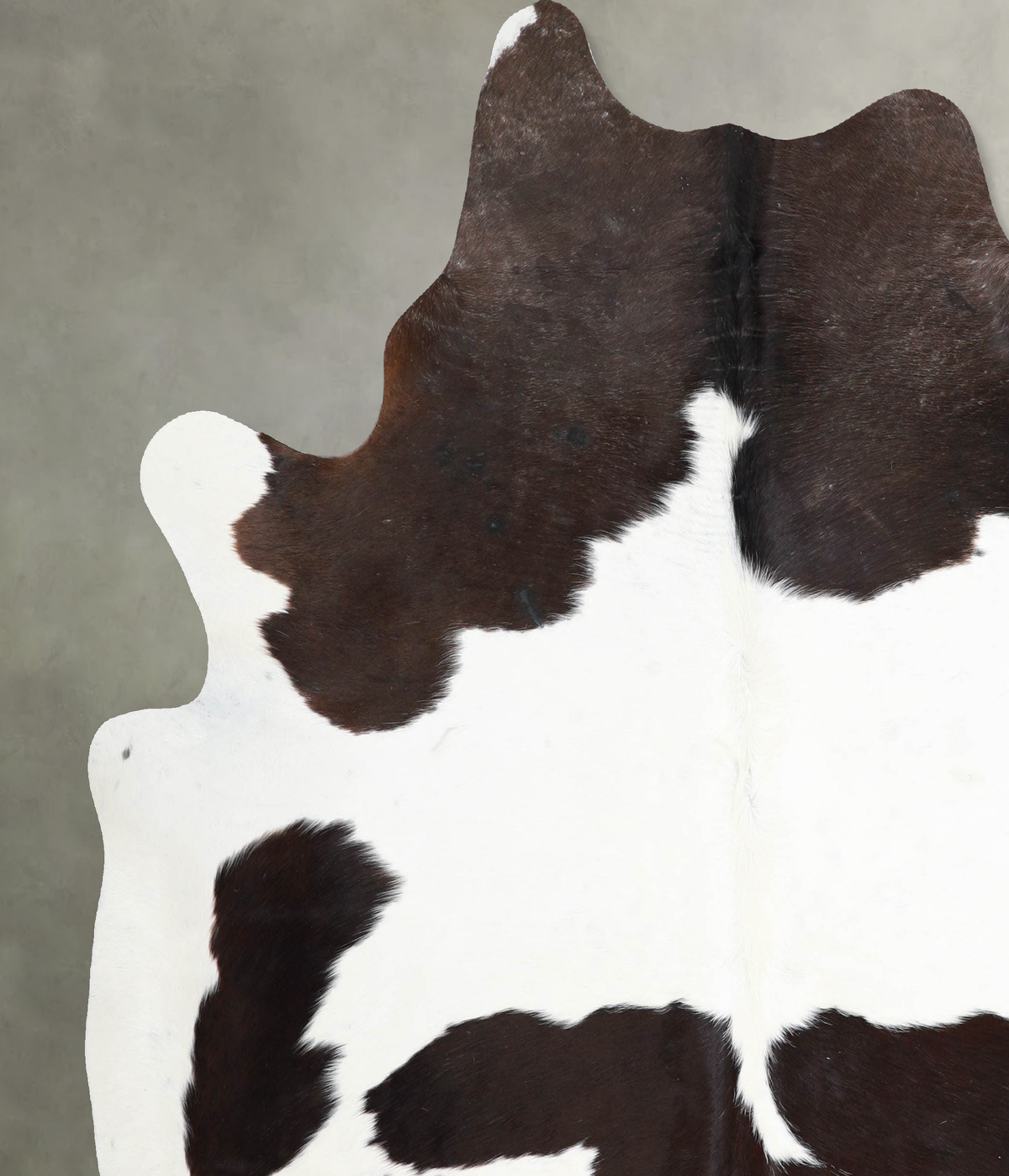 Chocolate and White X-Large Brazilian Cowhide Rug 7'2"H x 6'6"W #A53865 by Hudson Hides
