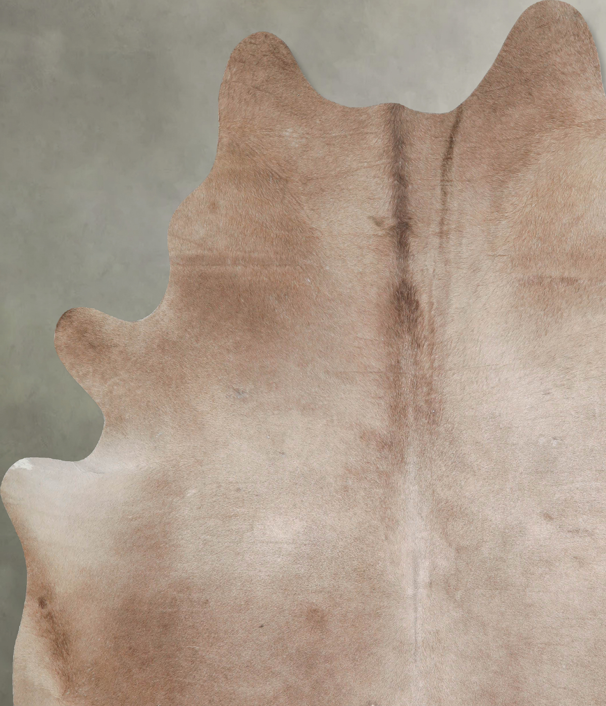 Taupe XX-Large Brazilian Cowhide Rug 7'9"H x 6'6"W #A53867 by Hudson Hides