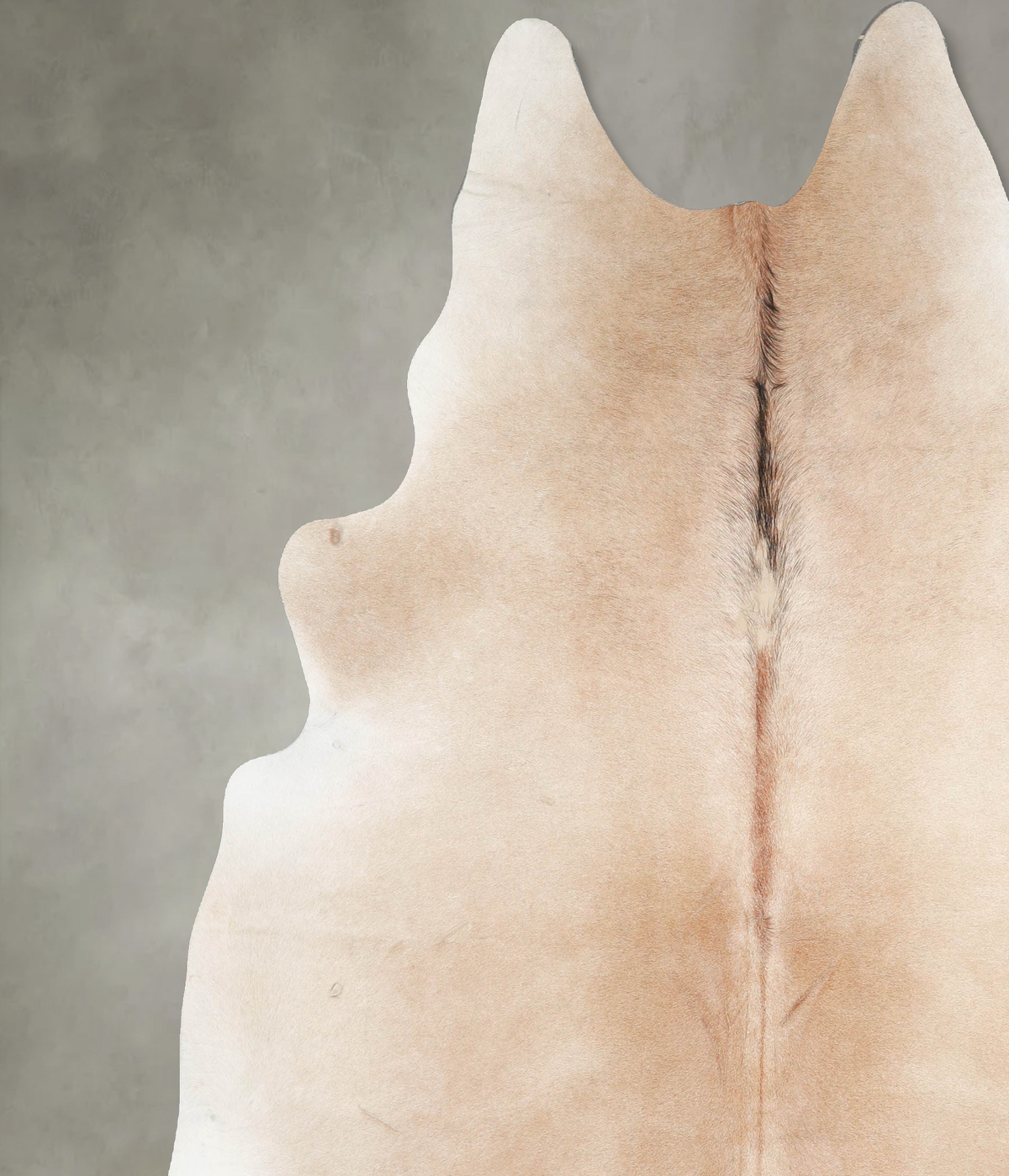 Light Caramel XX-Large Brazilian Cowhide Rug 8'6"H x 7'2"W #A53869 by Hudson Hides
