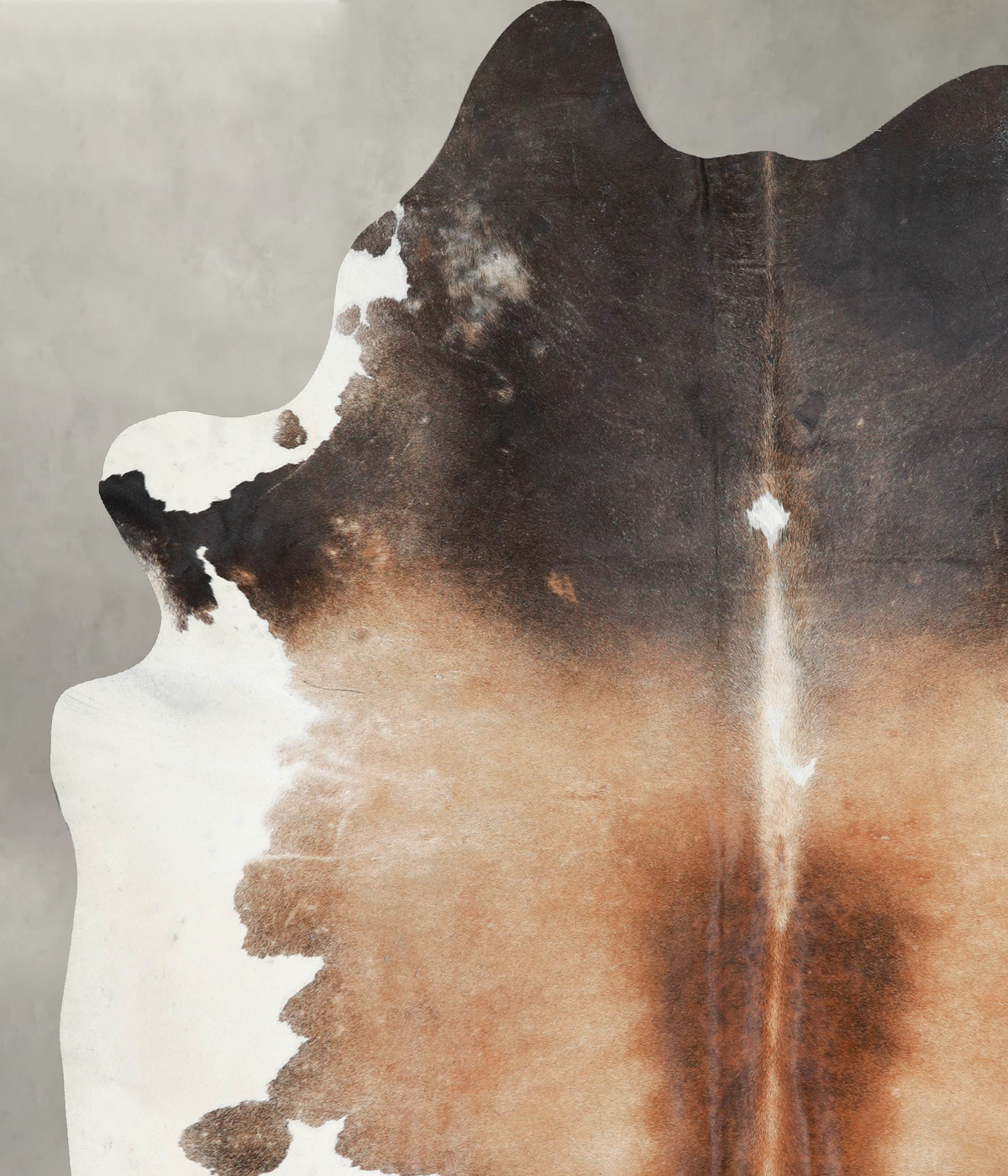 Chocolate and White XX-Large Brazilian Cowhide Rug 8'3"H x 7'0"W #A53870 by Hudson Hides