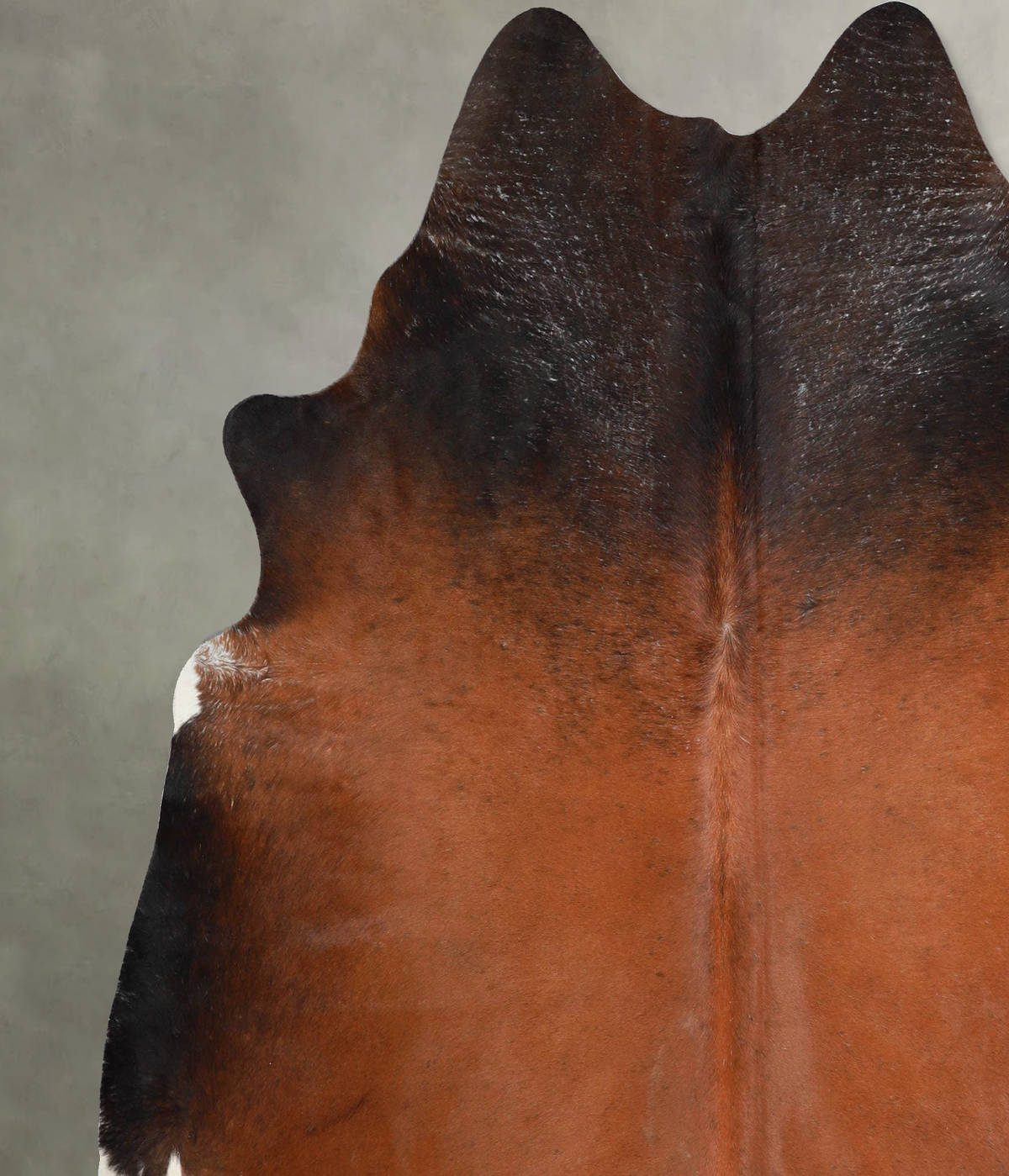 Warm Caramel X-Large Brazilian Cowhide Rug 7'1"H x 6'10"W #A53874 by Hudson Hides