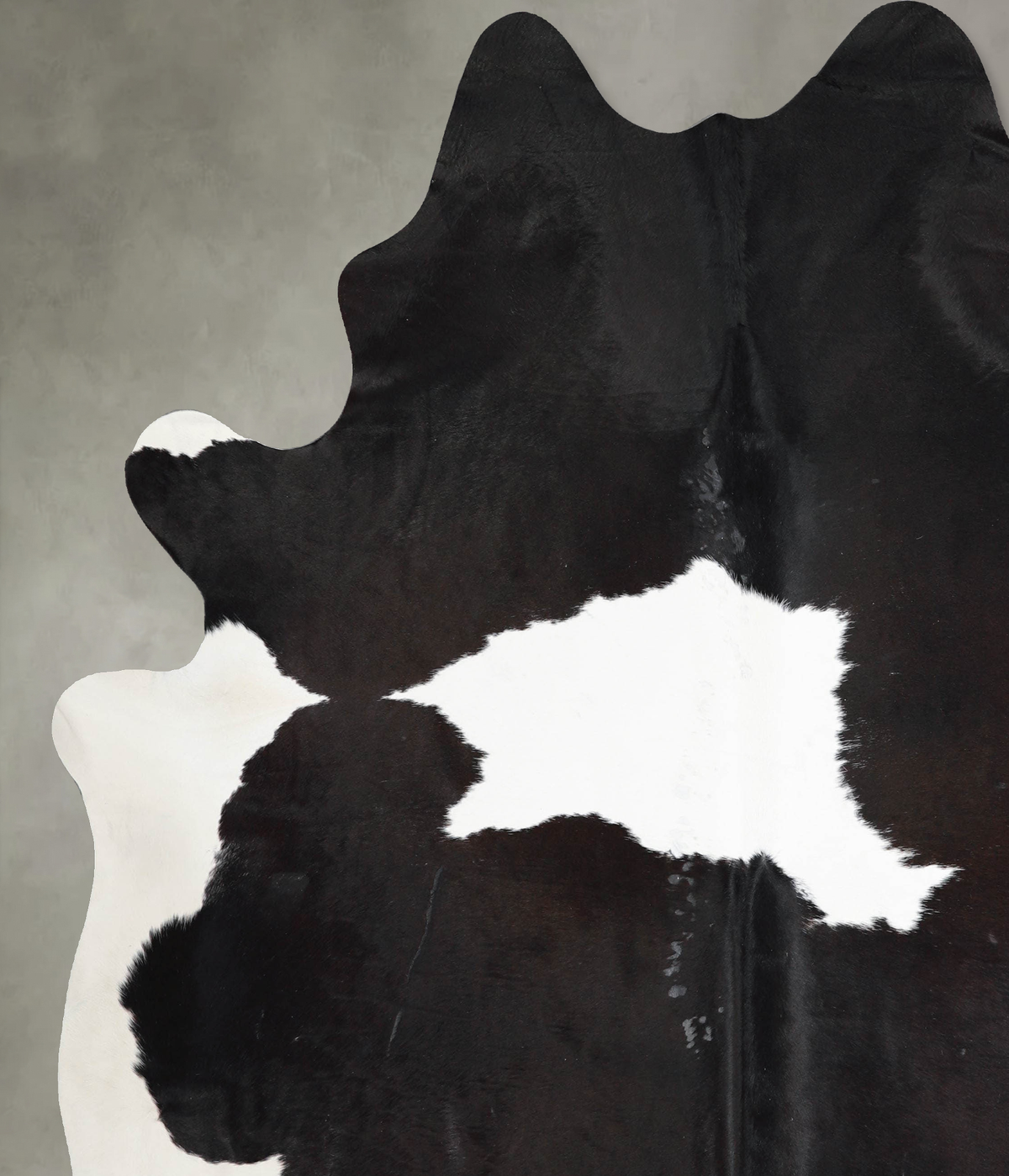 Black and White XX-Large Brazilian Cowhide Rug 8'3"H x 6'11"W #A53880 by Hudson Hides