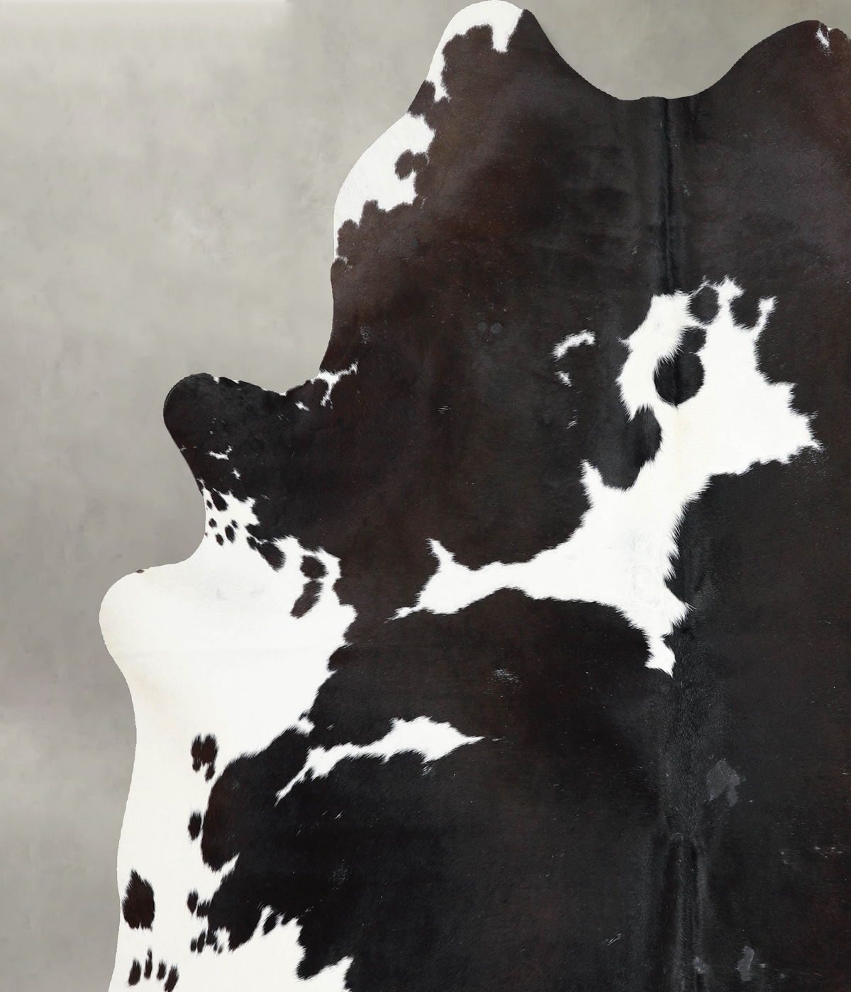 Chocolate and White X-Large Brazilian Cowhide Rug 7'4"H x 6'4"W #A53881 by Hudson Hides