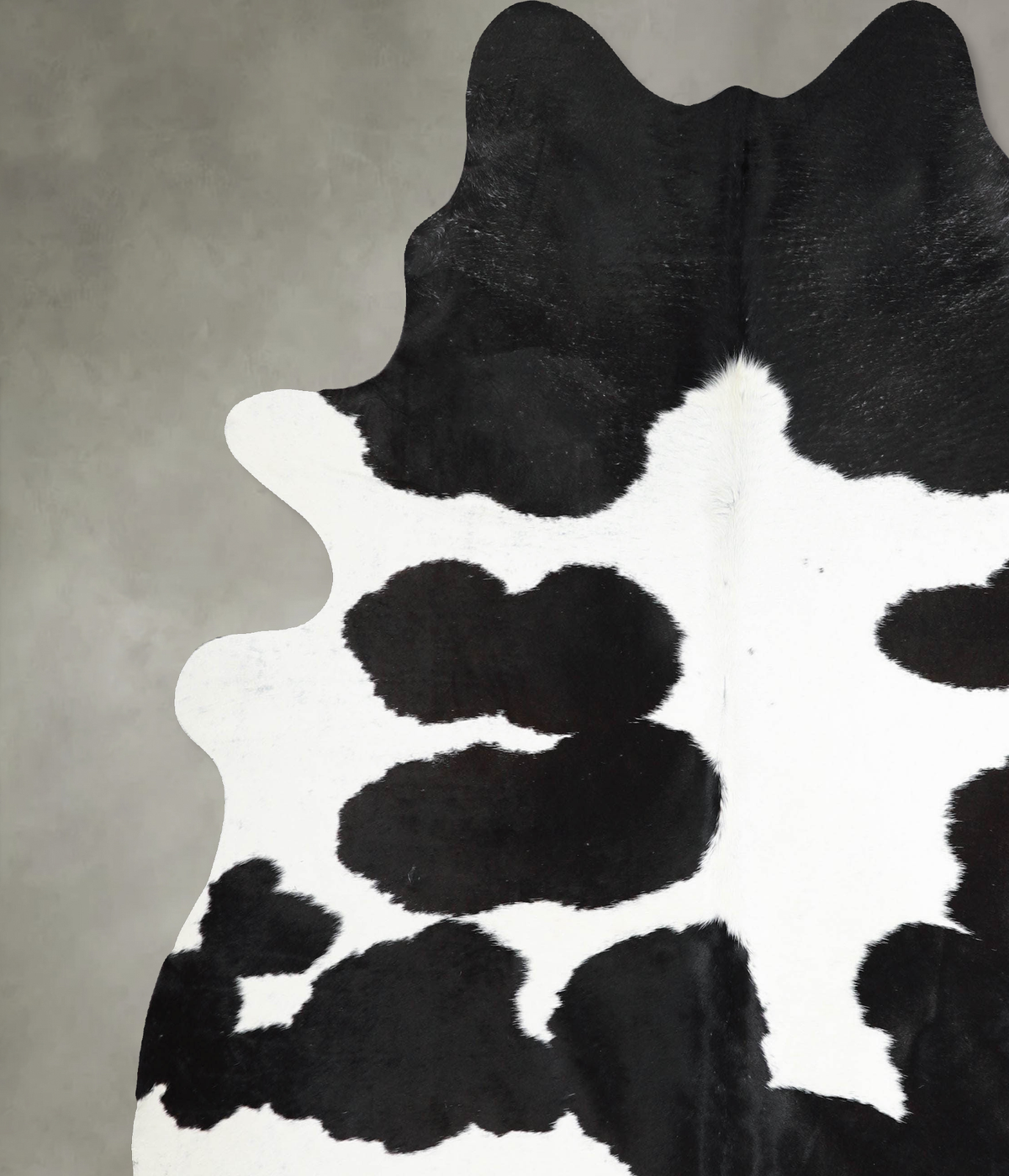 Black and White XX-Large Brazilian Cowhide Rug 7'10"H x 6'11"W #A53884 by Hudson Hides
