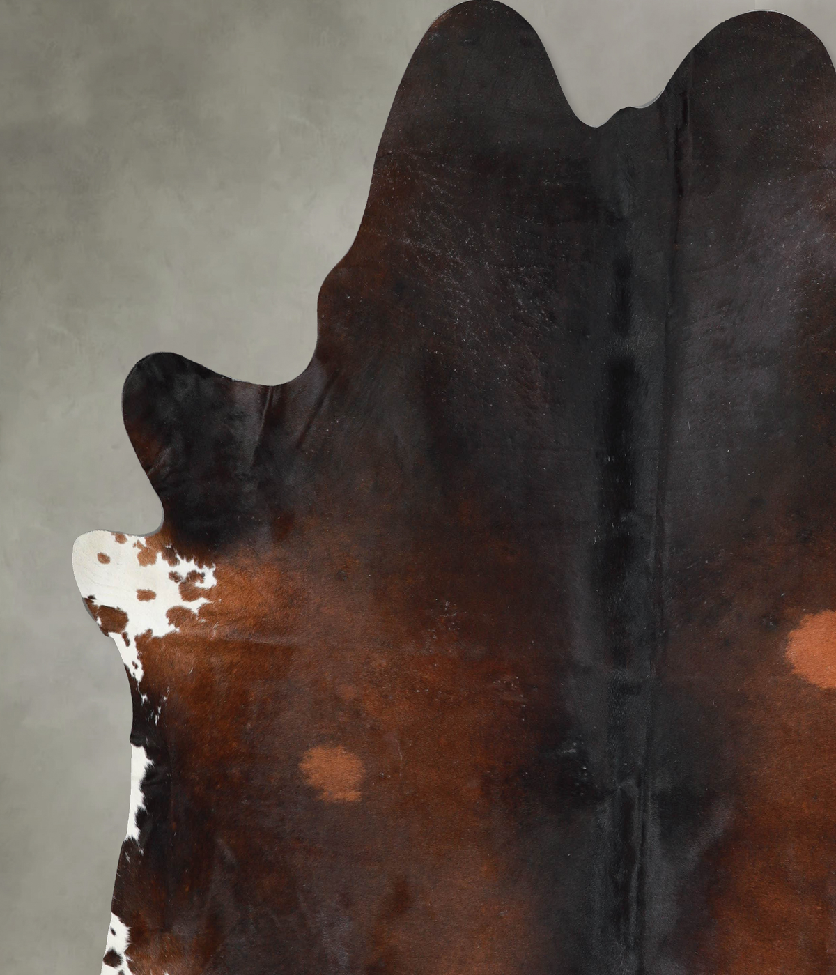 Warm Caramel XX-Large Brazilian Cowhide Rug 8'1"H x 7'8"W #A53886 by Hudson Hides