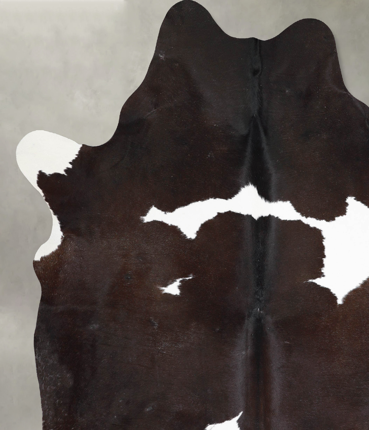 Chocolate and White XX-Large Brazilian Cowhide Rug 8'0"H x 6'6"W #A53891 by Hudson Hides