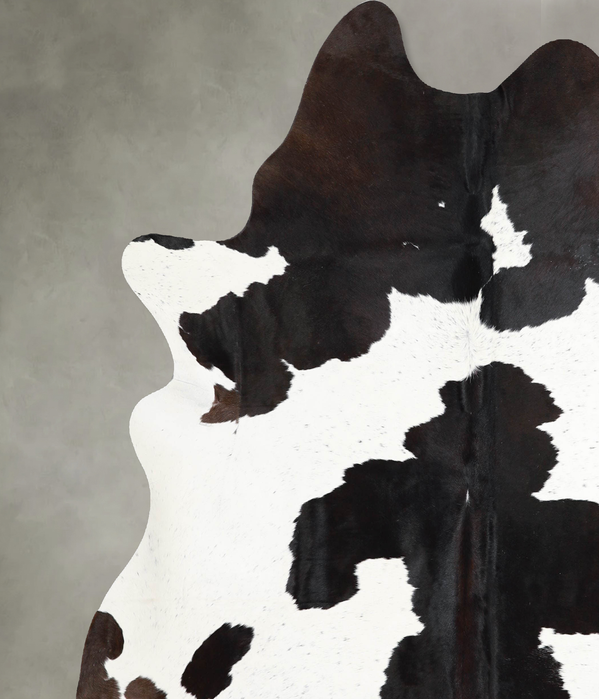 Chocolate and White X-Large Brazilian Cowhide Rug 7'4"H x 6'6"W #A53892 by Hudson Hides