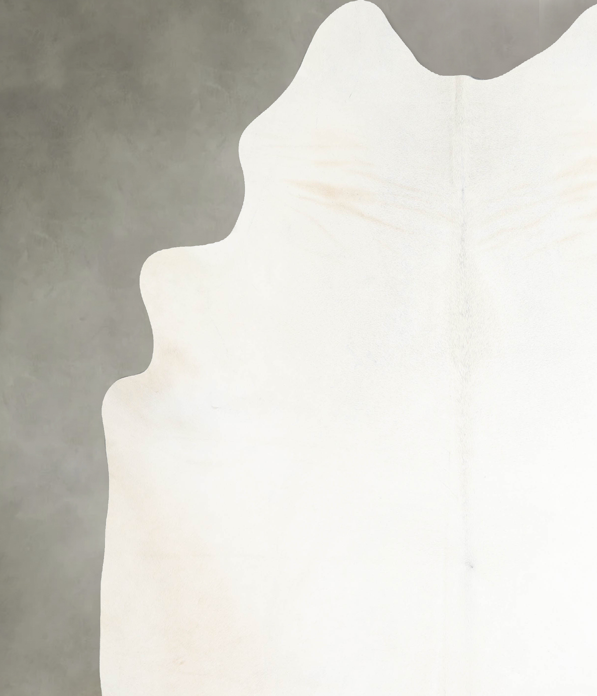 Ivory with Beige XX-Large Brazilian Cowhide Rug 7'10"H x 7'6"W #A53896 by Hudson Hides