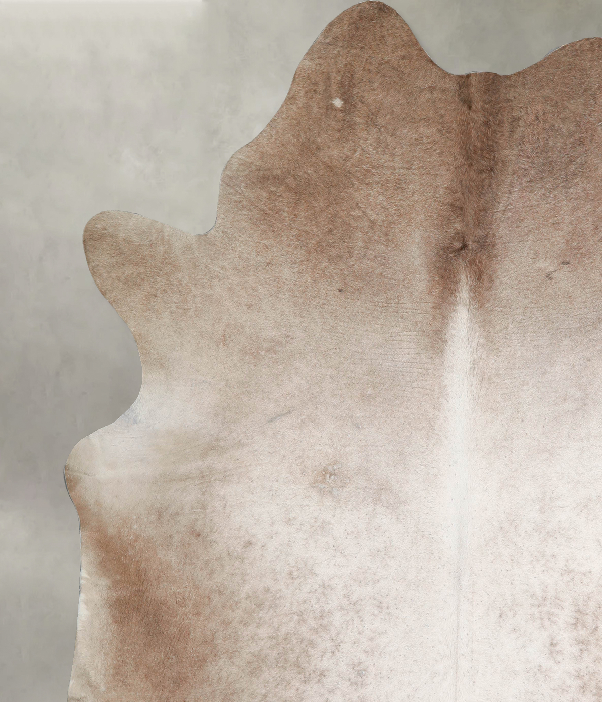 Taupe XX-Large Brazilian Cowhide Rug 8'8"H x 7'4"W #A53897 by Hudson Hides