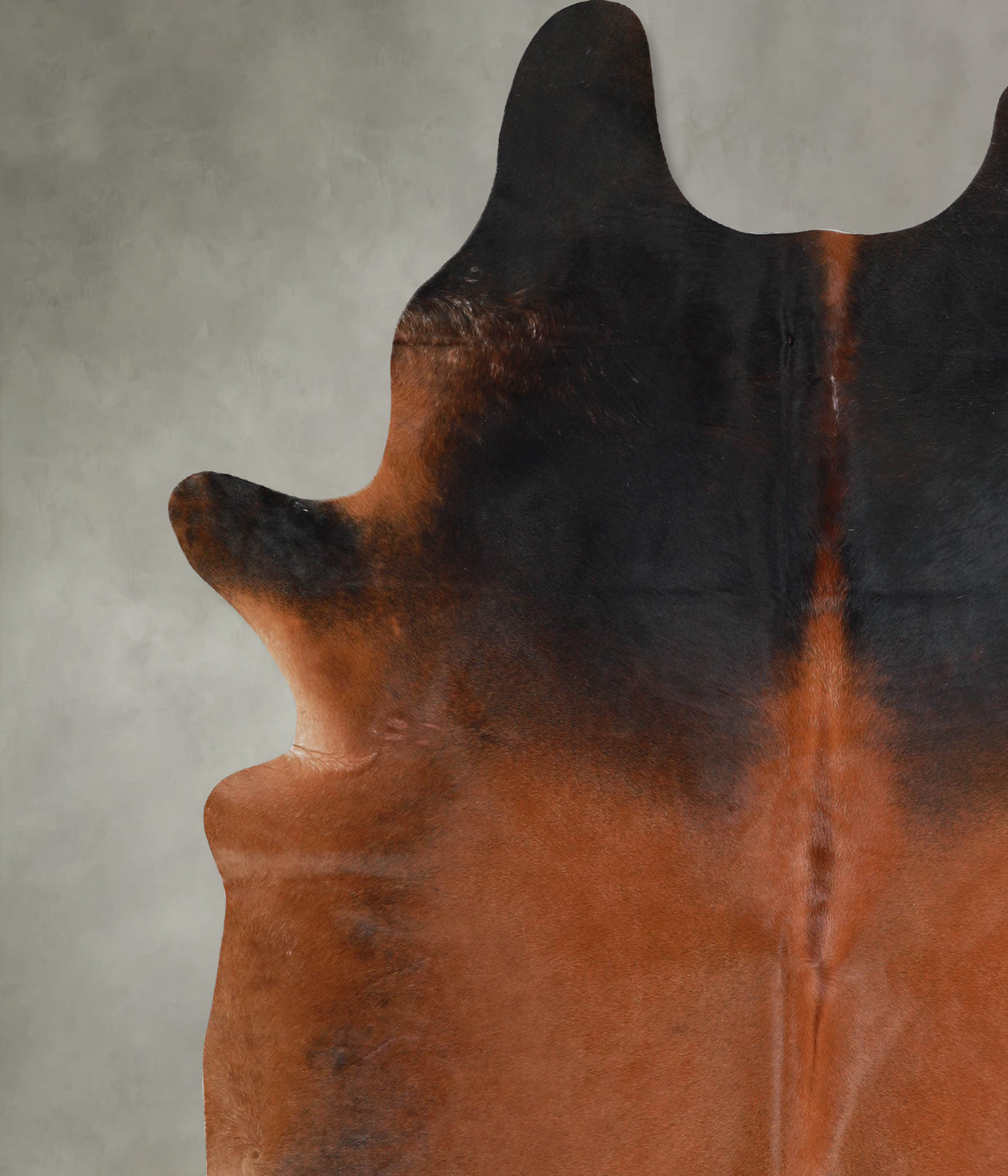 Warm Caramel XX-Large Brazilian Cowhide Rug 8'6"H x 7'0"W #A53902 by Hudson Hides