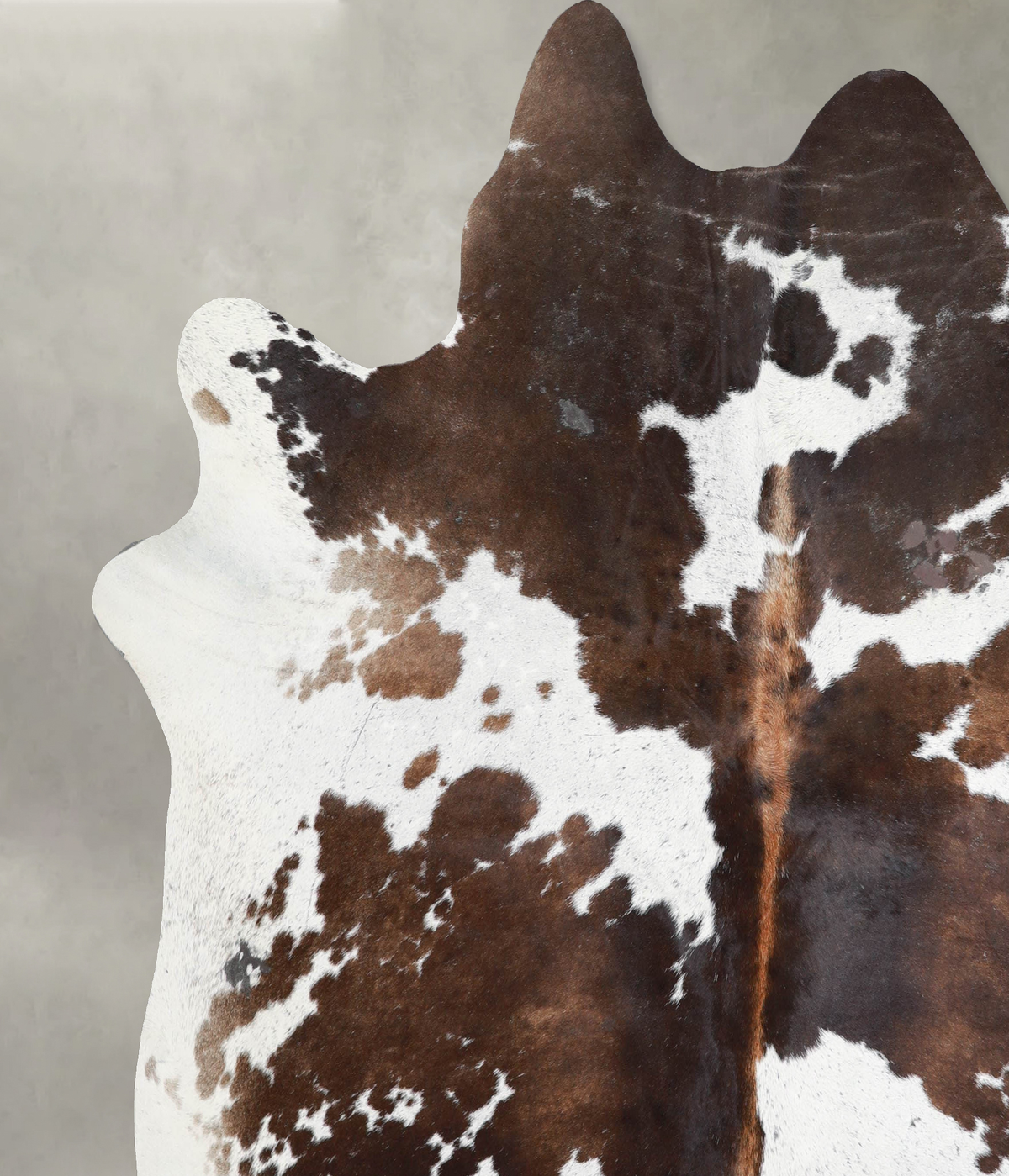 Chocolate and White XX-Large Brazilian Cowhide Rug 7'4"H x 7'2"W #A53905 by Hudson Hides
