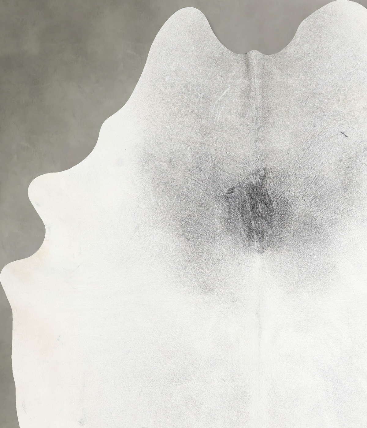 Medium Grey XX-Large Brazilian Cowhide Rug 8'0"H x 6'5"W #A53910 by Hudson Hides