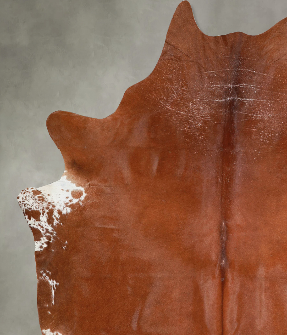 Solid Brown XX-Large Brazilian Cowhide Rug 8'6"H x 7'0"W #A53917 by Hudson Hides