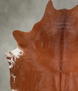 Solid Brown XX-Large Brazilian Cowhide Rug 8'6"H x 7'0"W #A53917 by Hudson Hides