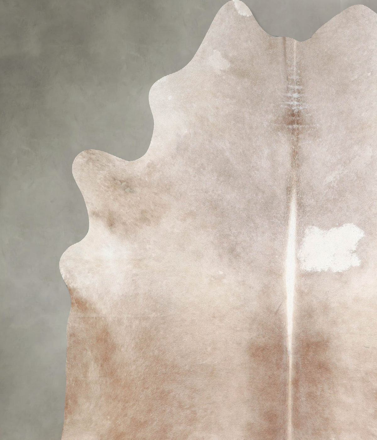 Taupe XX-Large Brazilian Cowhide Rug 7'9"H x 6'8"W #A53921 by Hudson Hides