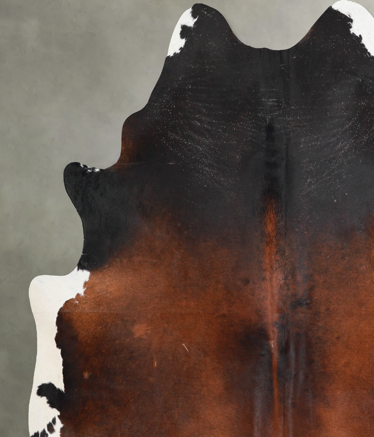 Warm Caramel XX-Large Brazilian Cowhide Rug 7'6"H x 6'9"W #A53926 by Hudson Hides
