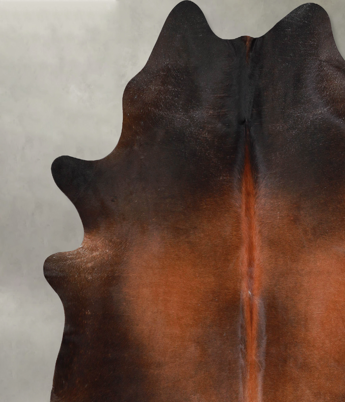 Warm Caramel XX-Large Brazilian Cowhide Rug 7'10"H x 7'0"W #A53927 by Hudson Hides